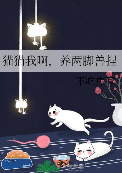 猫猫我啊，养两脚兽捏